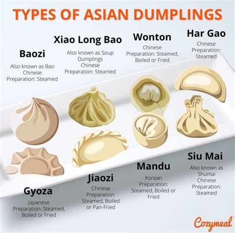 Types Of Dumpling Skin 2026 Archive All Files Full Link